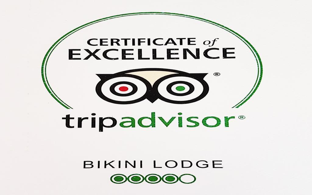 Bikini Lodge (Adults Only) 마이애미 비치 외부 사진